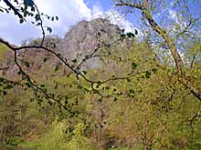 Rotweinwanderweg