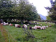 Ahrtalweg